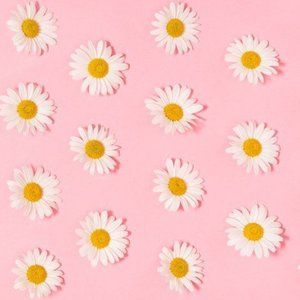 Meet your Posher, Brigitte